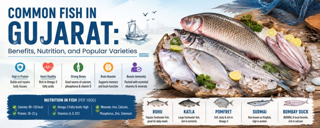 Common-Fish-in-Gujarat